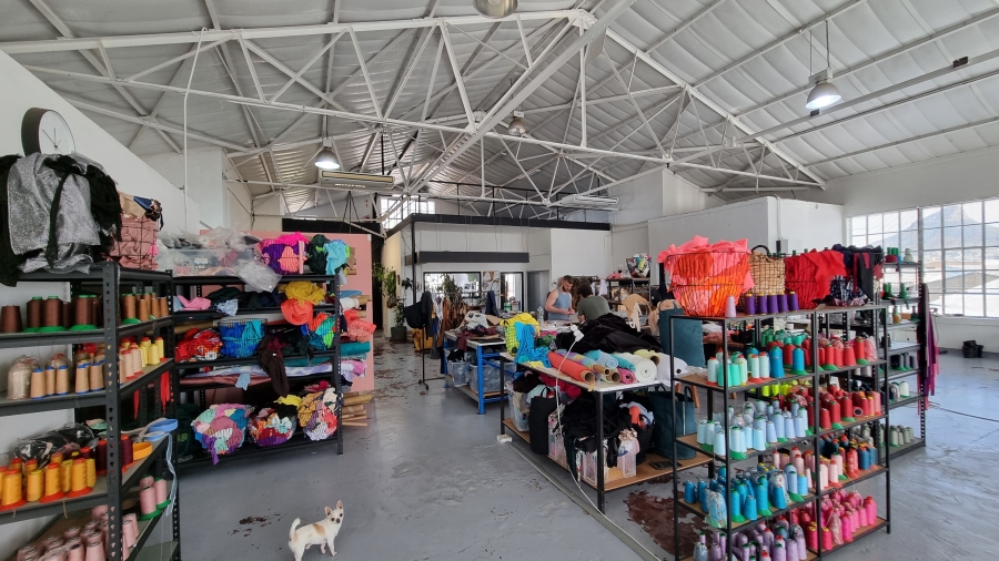 To Let Commercial Property for Rent in Woodstock Western Cape